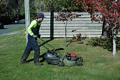 Hutt Wellington Lawn Services Pest control Tree services Carpet cleaning Fencing